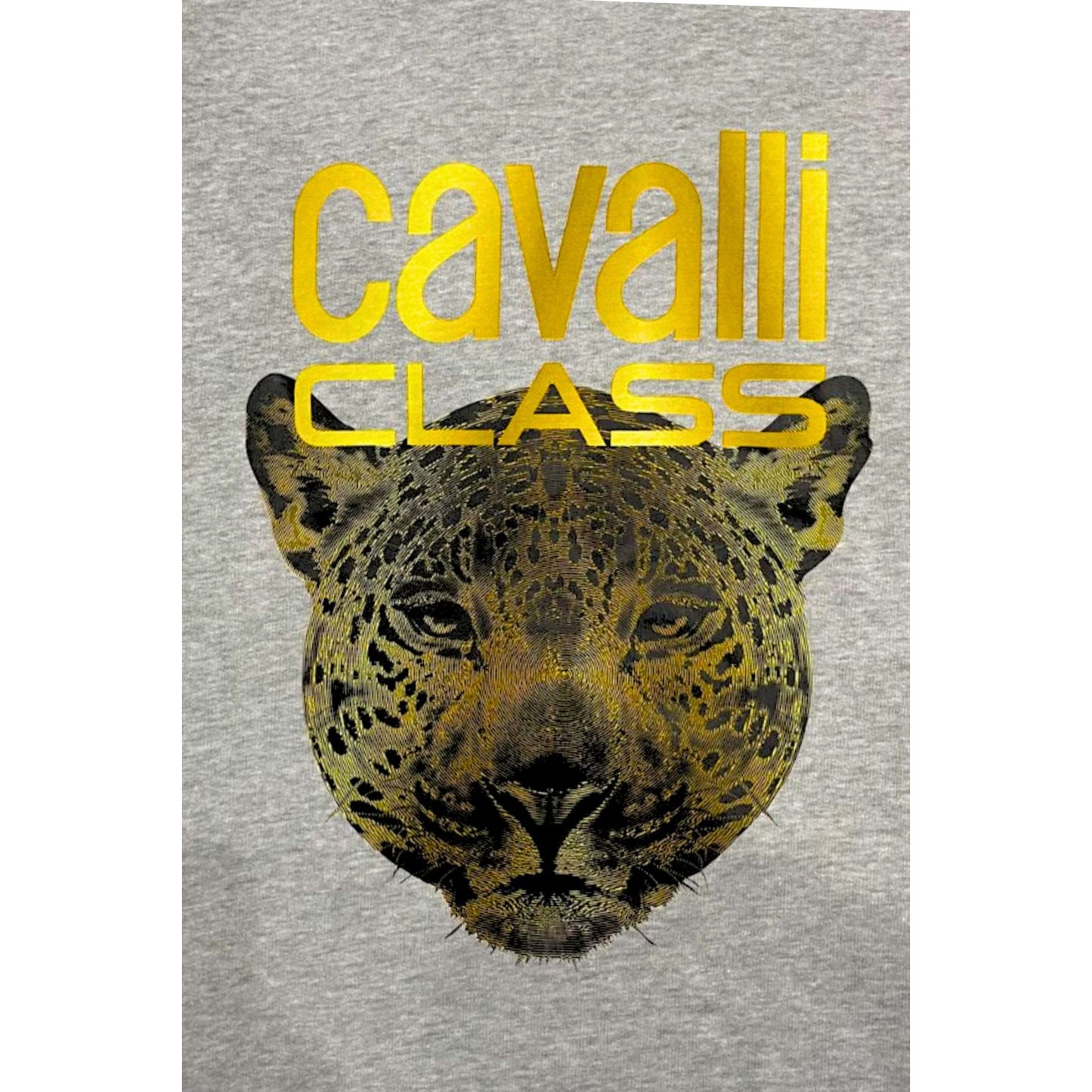 Cavalli Class Sweat-shirts